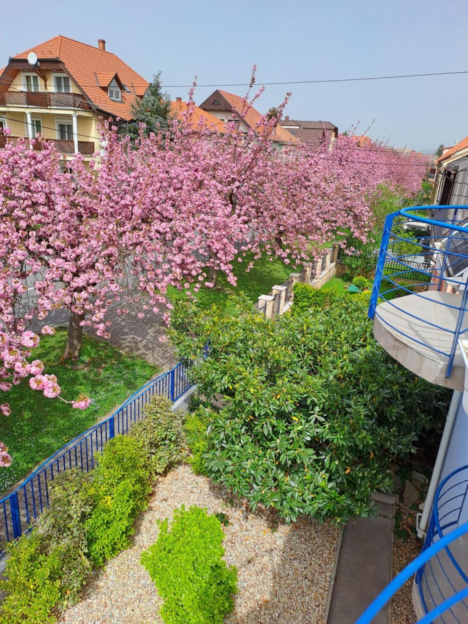 Laguna Apartmanhaz Hévíz Extérieur photo